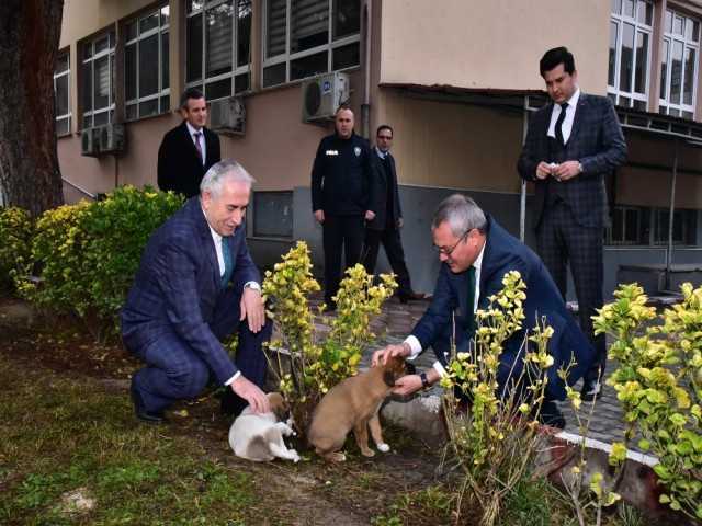 KAYMAKAMLIKTAN ANLAMLI HAREKET