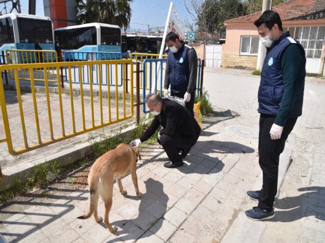 SOKAK HAYVANLARI UNUTULMADI