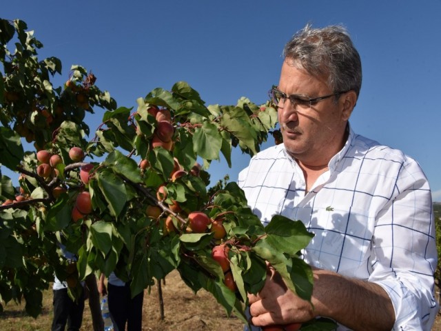 YUNTDAĞI'NDA MEYVECİLİK GELİŞİYOR