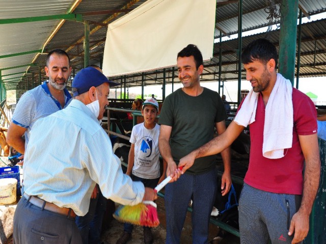 FIRÇA İLE KURBAN PAZARLIĞI