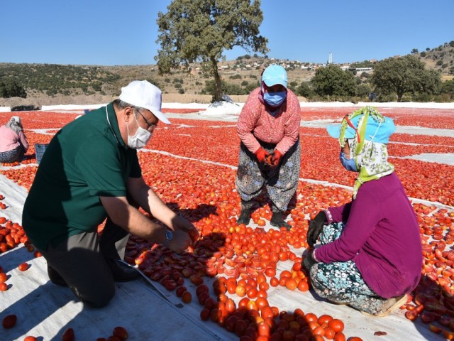 YUNTDAĞI'NDA 4 MAHALLEYE ZİYARET