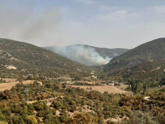 8 HEKTARLIK ORMAN ALANI KÜL OLDU