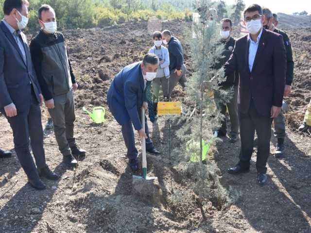 ŞEHZADELER'DE AĞAÇLANDIRMA PROJESİ