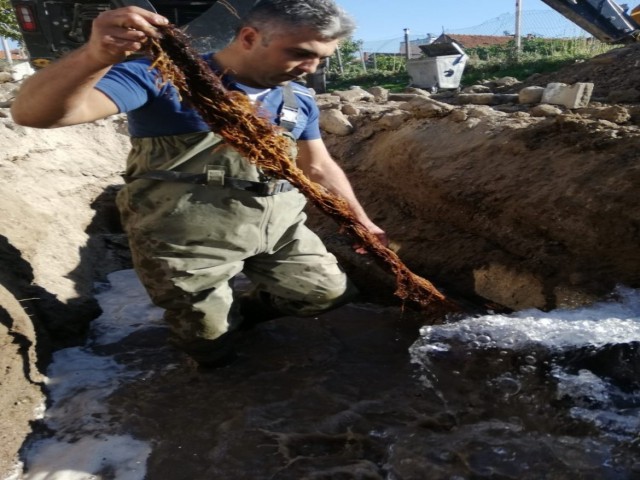 SULARIN AZ AKMASININ SEBEBİ KUNDUZMUŞ