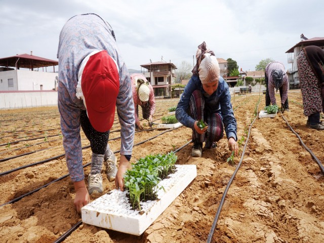 GENÇ KUŞAKLAR BİBER ÜRETİYOR