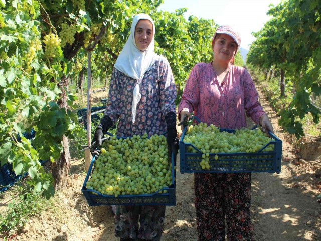 İHRACAT TIRLARI YOLA ÇIKIYOR