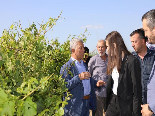 BAŞKAN DURBAY DOLUNUN ZARAR VERDİĞİ ALANLARI İNCELEDİ