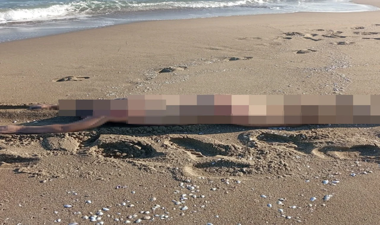 Sakarya’da Sahilde Çıplak Erkek Cesedi Bulundu