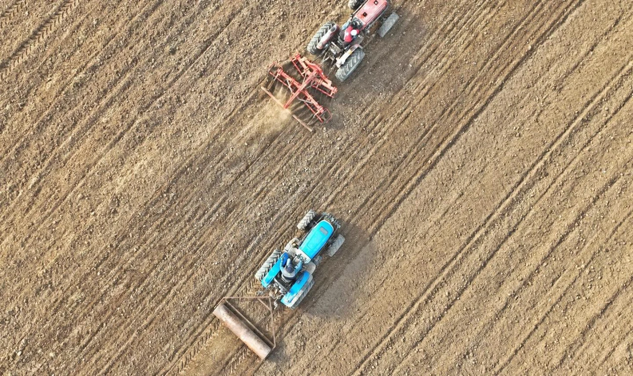 AKHİSAR BELEDİYESİ 125 DÖNÜMLÜK ARAZİSİNDE BUĞDAY VE ARPA EKİMİNE BAŞLADI