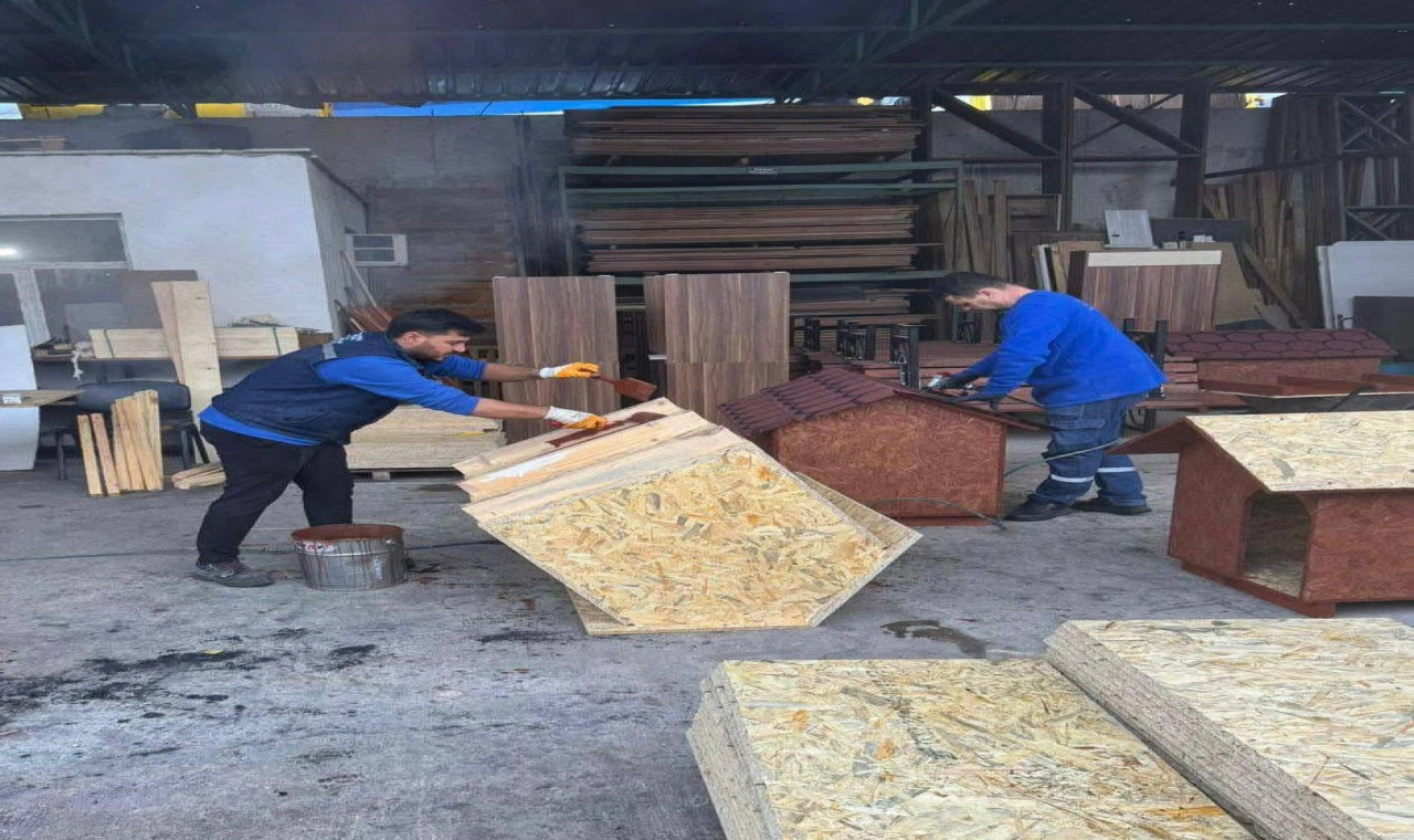 Başkan Dutlulu'nun Talimatıyla Barınaktaki Sokak Hayvanlarına Sıcak Yuva!