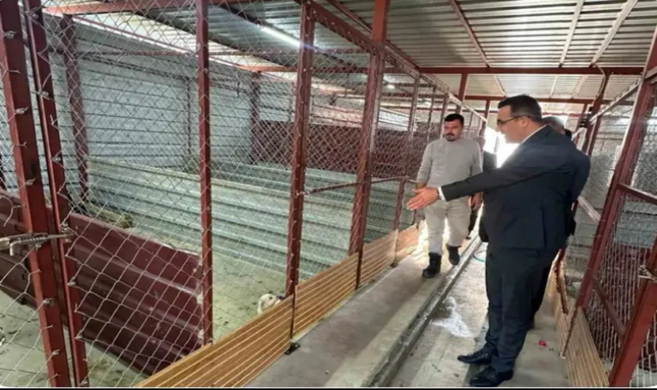 Sarıgöl Kaymakamı Dalak’tan Hayvan Bakım Evi’ne inceleme ziyareti