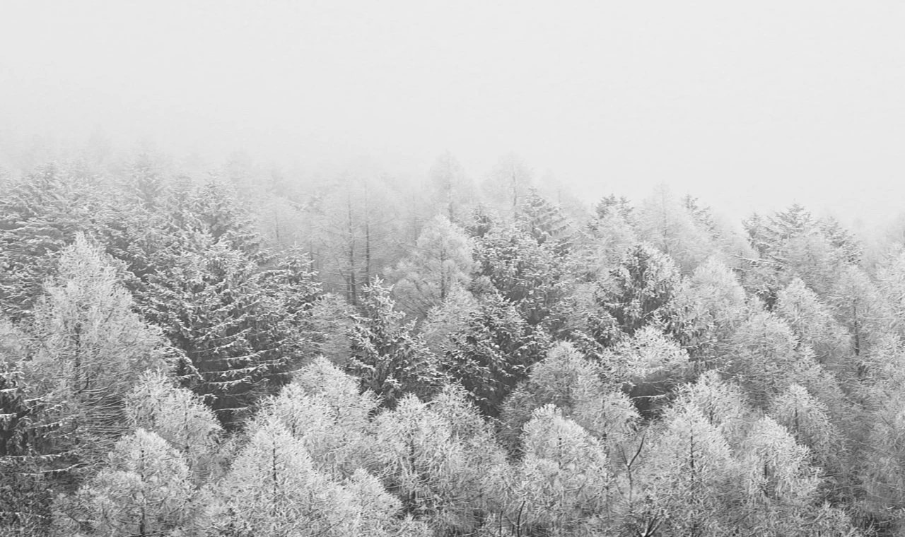 PAZARTESİ GÜNÜ 10 İLDE KAR YAĞIŞI BEKLENİYOR