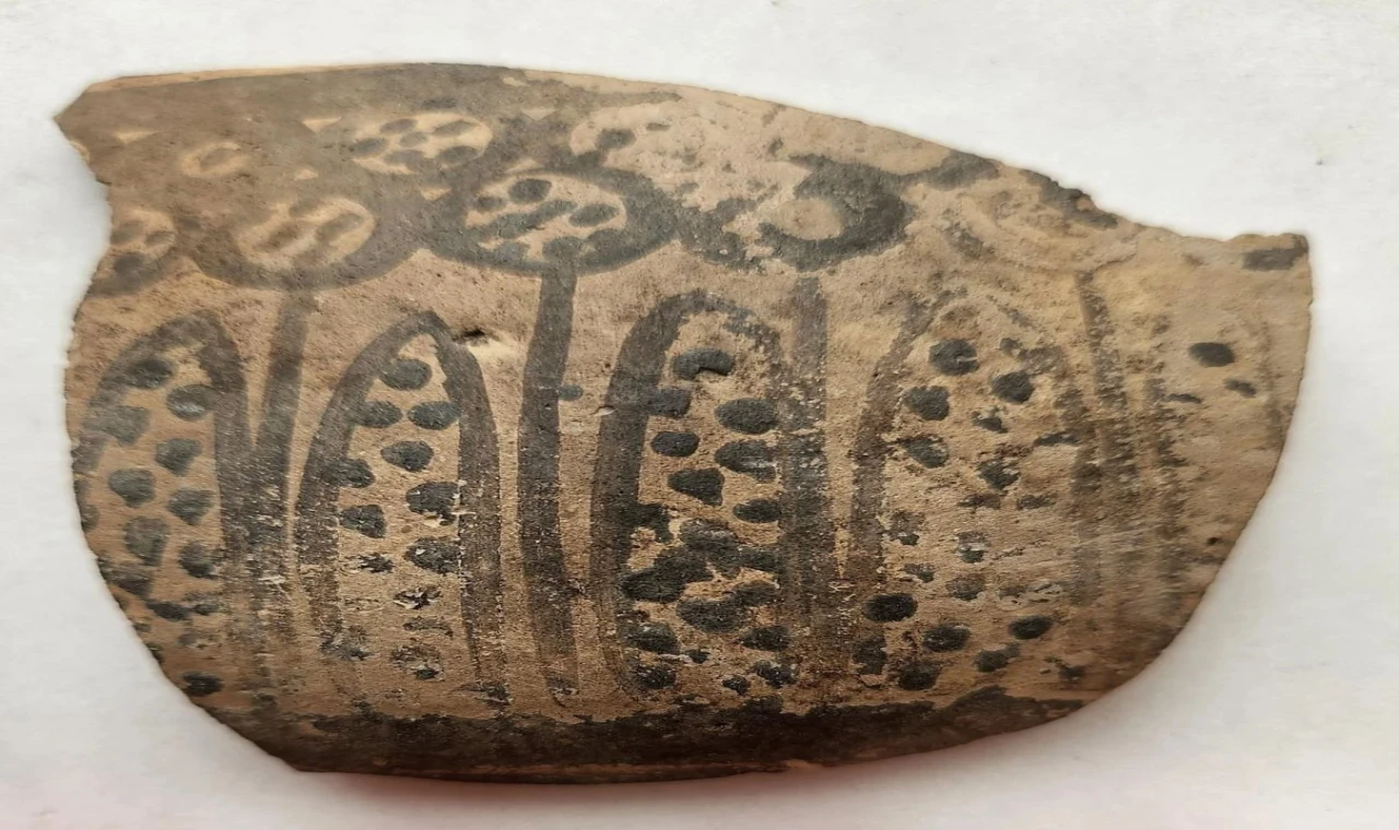 8 Bin Yıllık Çömleklerde Matematiğin İzleri Bulundu