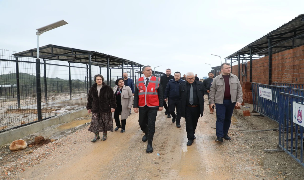 ŞEHZADELER BELEDİYESİ HAYVAN BARINAĞI BOŞALTILDI
