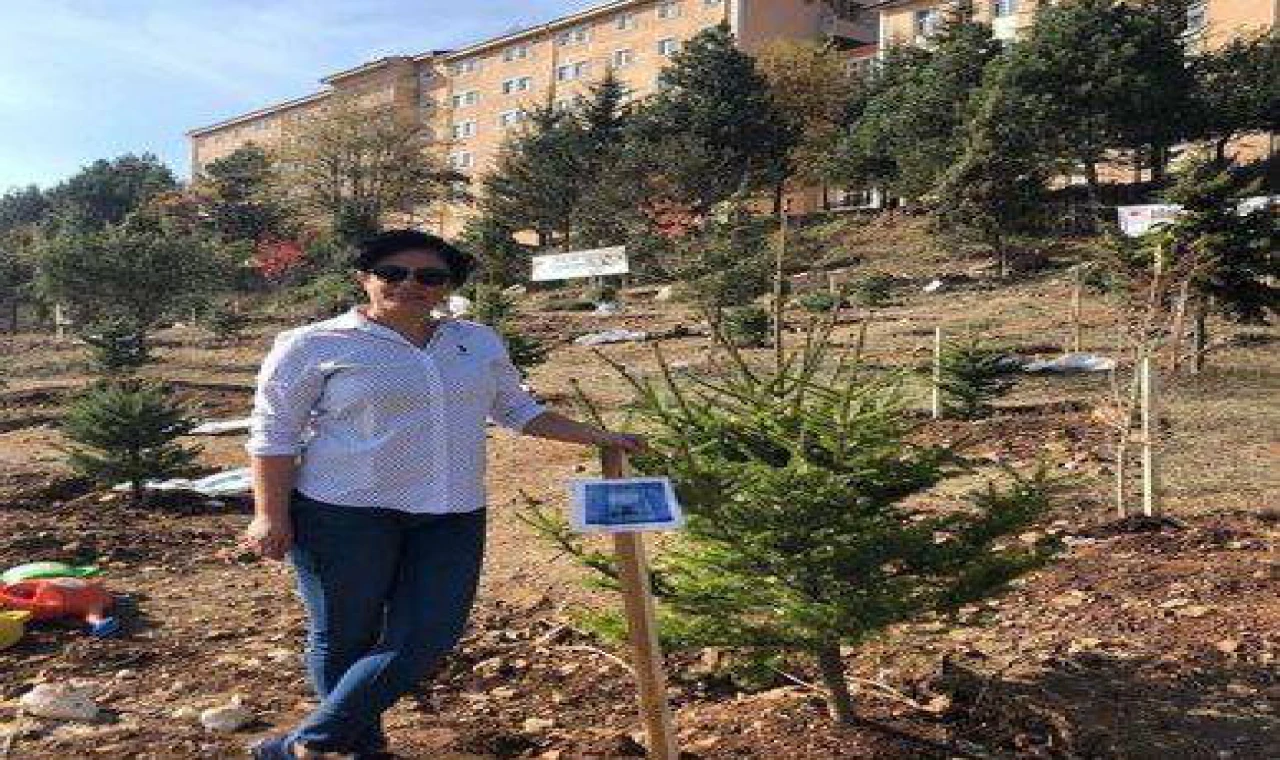 Bolu'da Yürek Yakan Olay...