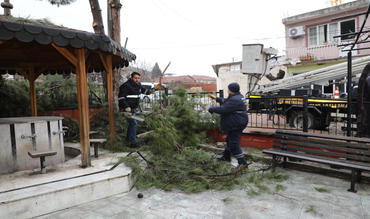 ŞEHZADELER BELEDİYESİ’NİN BUDADIĞI DALLAR İHTİYAÇ SAHİPLERİNİN OCAĞINI ISITIYOR