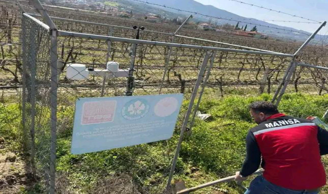Manisa Sarıgöl’de Bağ Alanlarında Erken Uyarı İstasyonlarına Bakım