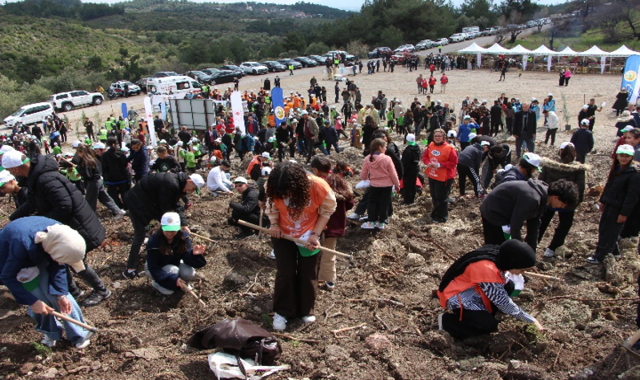 Manisa’da Yanan Alanlar 30 Bin Fidanla Yeniden Yeşeriyor
