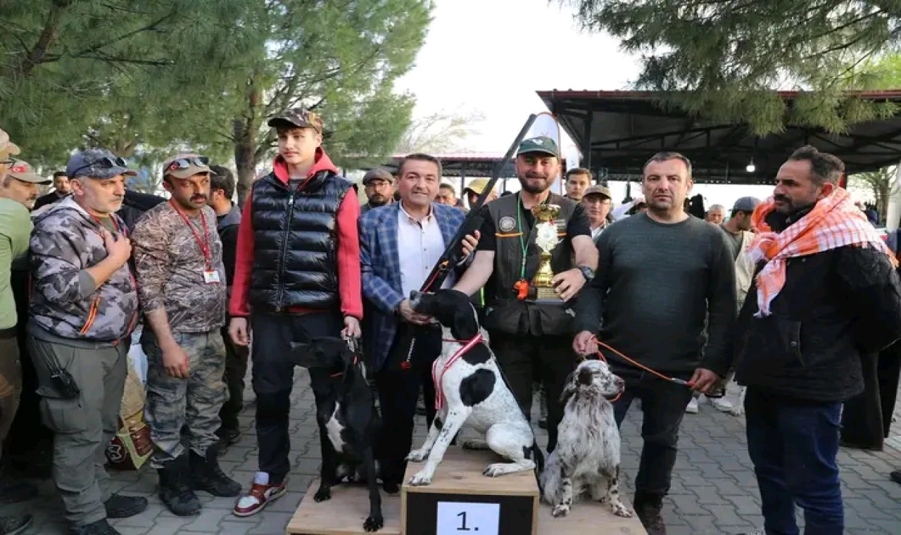 Paşaköy’de Fermalı Av Köpekleri Yarışması Yoğun İlgi Gördü