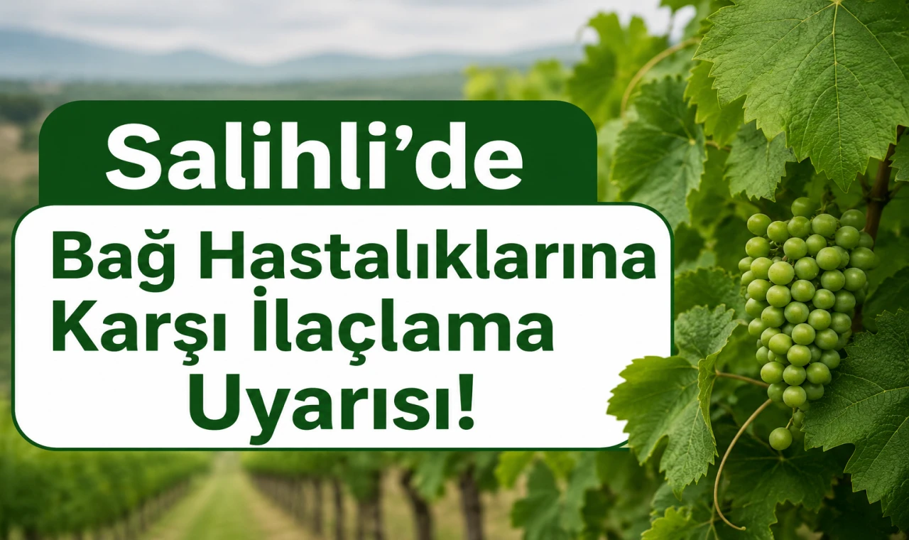 Salihli’de Bağ Hastalıklarına Karşı İlaçlama Uyarısı