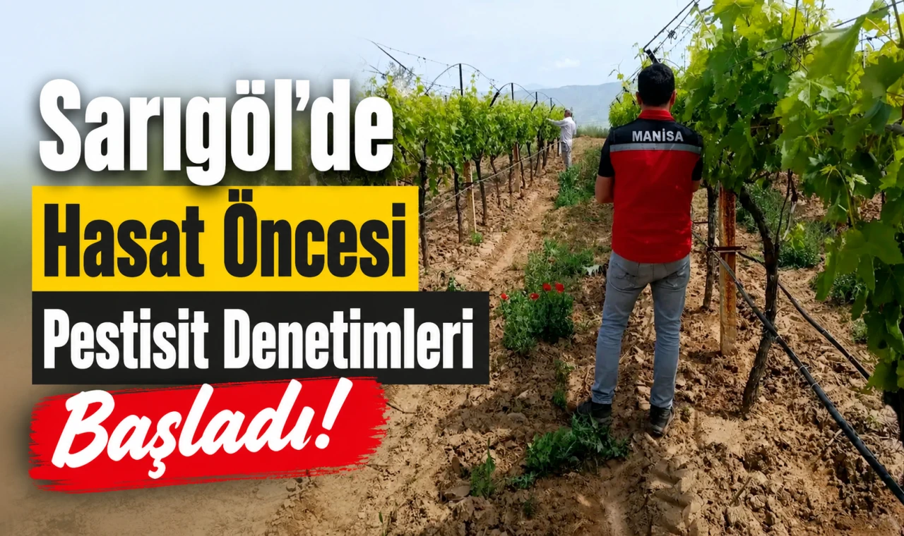 Sarıgöl’de Hasat Öncesi Pestisit Denetimleri Başladı
