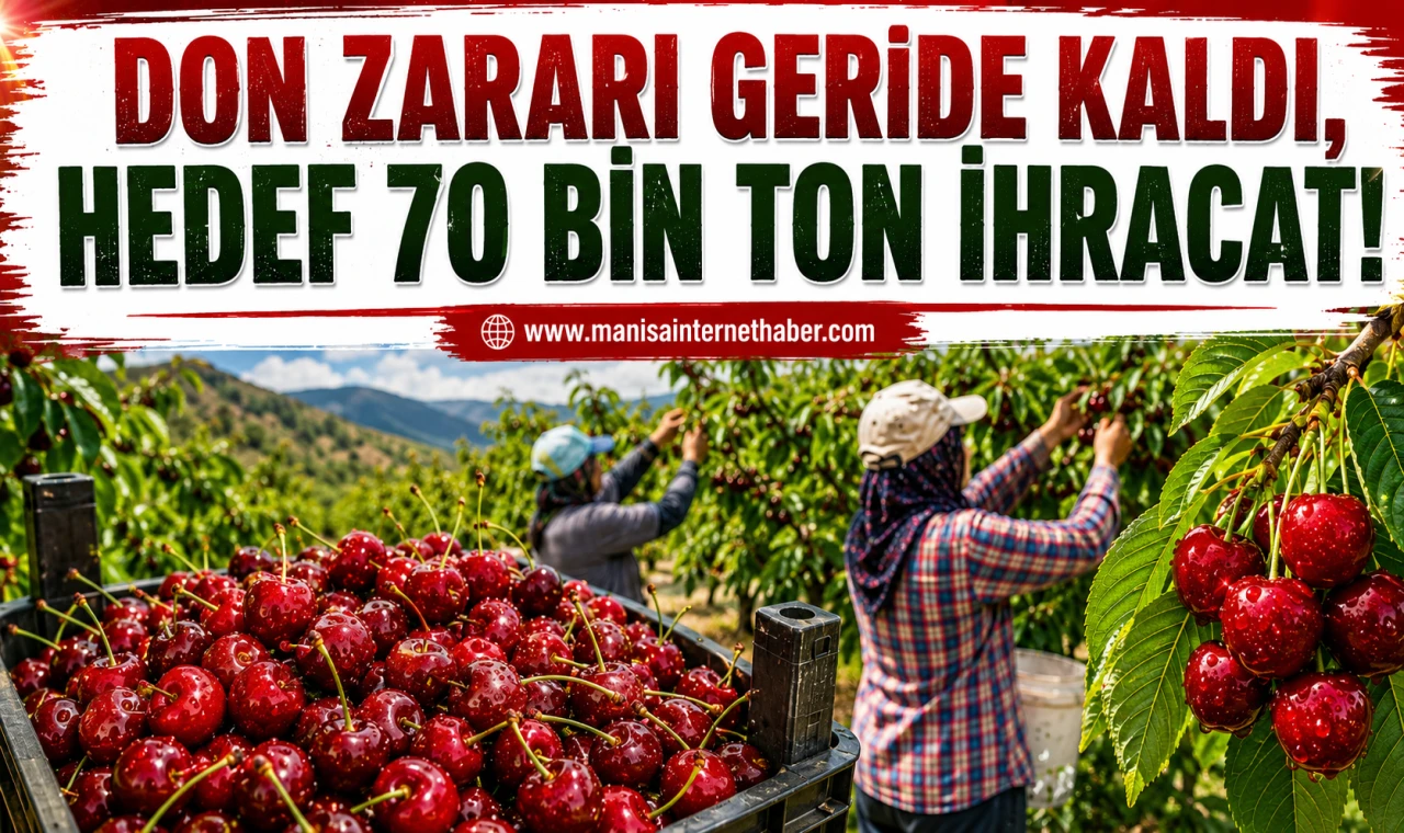 İzmir ve Manisa’da Kiraz Bereketi Başladı...