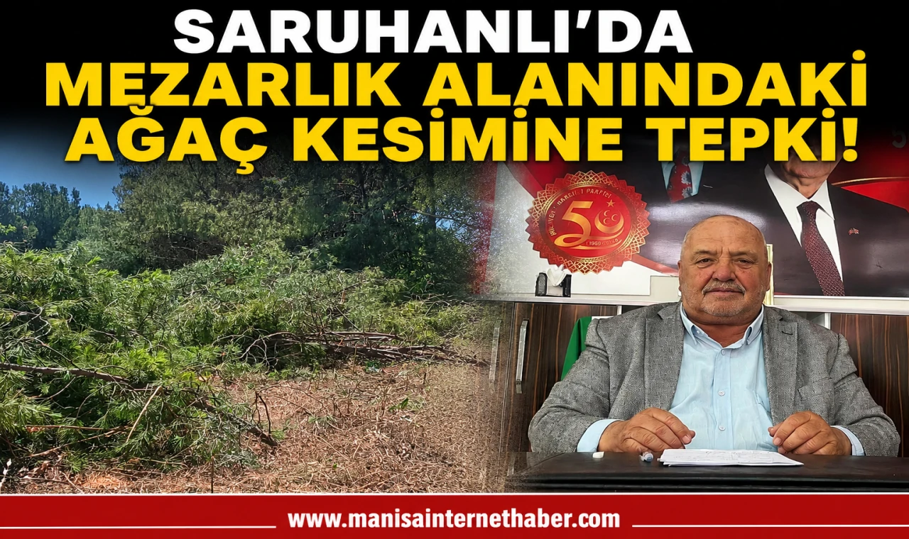 MHP Saruhanlı’dan Çam Ağaçları Kesimine Tepki: “Orman İzni Alınmadı”