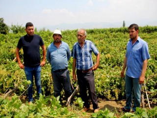 DOLU VE FIRTINA ZARARA YOL AÇTI