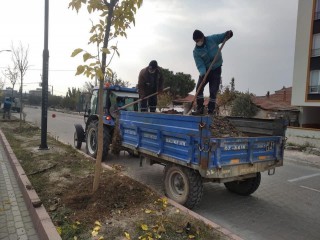 AKHİSAR RİNG YOLU AĞAÇLANDIRILIYOR