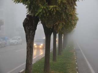 MANİSA GÜNE SİSLE UYANDI