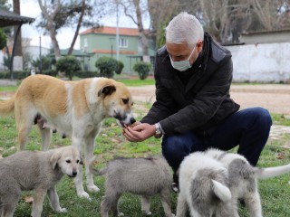 SOKAK HAYVANLARI UNUTULMUYOR