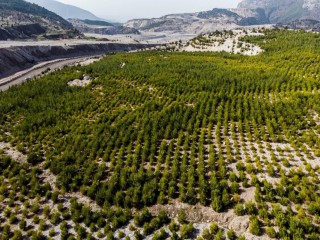 'SIFIR ATIK PROJESİ' 6 BİN AĞACI KURTARDI