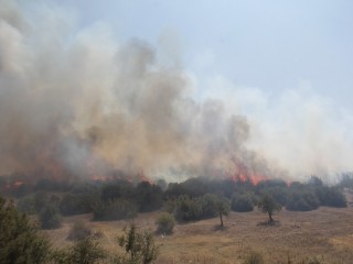 ORMAN YANGINI KONTROLE ALINDI