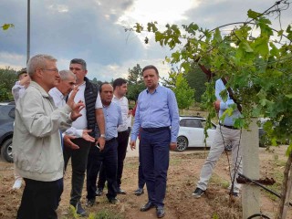 AFETZEDELERİ RAHATLATAN ÇALIŞMA