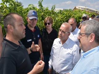 SALİHLİ'DE TARLA GÜNÜ KUTLANDI