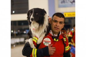 DEPREM KÖPEKLERİ HAYAT KURTARIYOR