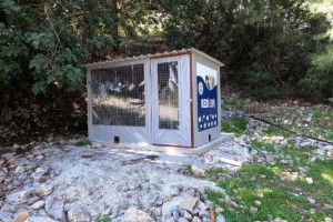BELEDİYEDEN KEDİ EVİ PROJESİ