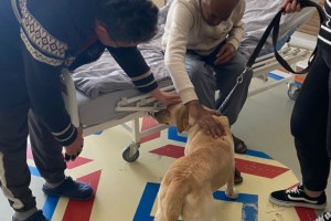 TERAPİ KÖPEKLERİ ENGELLİ VE YAŞLI VATANDAŞLARLA BULUŞTU