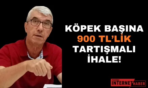 Köpek Başına 900 TL’lik Tartışmalı İhale!