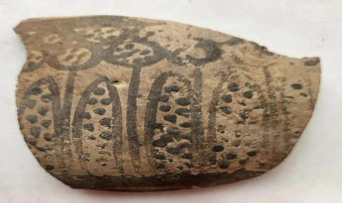 8 Bin Yıllık Çömleklerde Matematiğin İzleri Bulundu