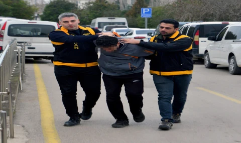 Adana’da Kedilerin Üzerinden Geçen Sürücüye Barınakta Çalışma Cezası