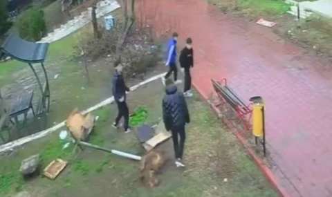 Adana’da Parktaki Kuş Yuvasına Zarar Verildi!