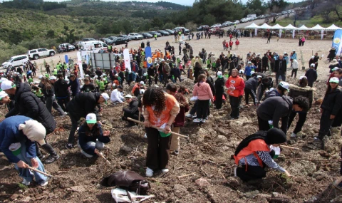 Manisa’da Yanan Alanlar 30 Bin Fidanla Yeniden Yeşeriyor