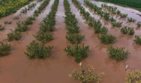 Turgutlu’da Gediz Nehri Taştı Tarım Arazileri Sular Altında
