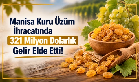 Manisa Kuru Üzüm İhracatında 321 Milyon Dolarlık Gelir Elde Etti!