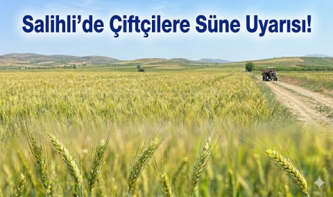 Salihli’de Çiftçilere Süne Uyarısı!