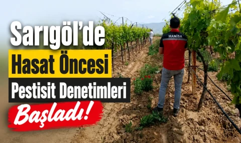 Sarıgöl’de Hasat Öncesi Pestisit Denetimleri Başladı