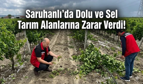 Saruhanlı’da Dolu ve Sel Tarım Alanlarına Zarar Verdi