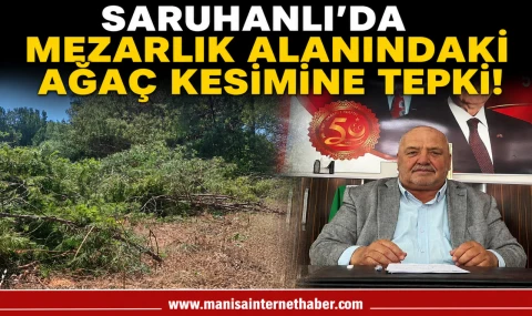 MHP Saruhanlı’dan Çam Ağaçları Kesimine Tepki: “Orman İzni Alınmadı”