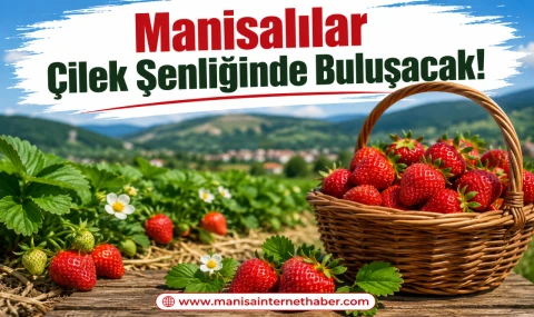 Osmancalı Çileği İçin Hasat Coşkusu Başlıyor